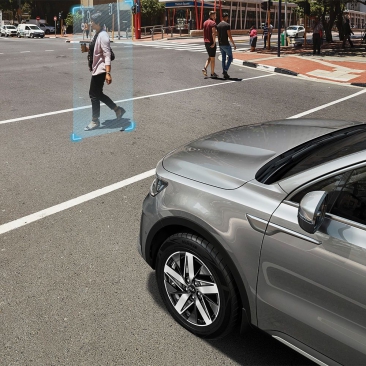 Drive Wise - Asistencias a la conducción